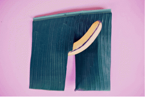 enlarged and erect penis